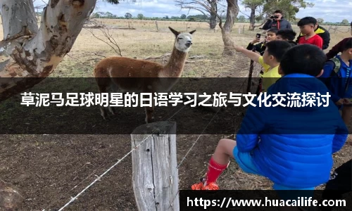 草泥马足球明星的日语学习之旅与文化交流探讨